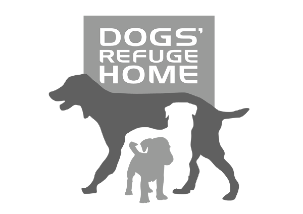 dogs refuge home