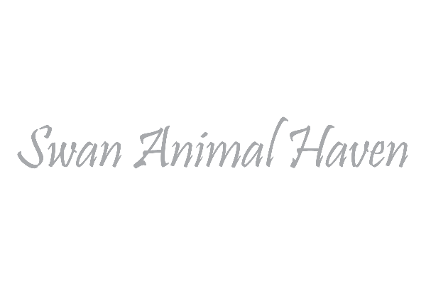 animal haven