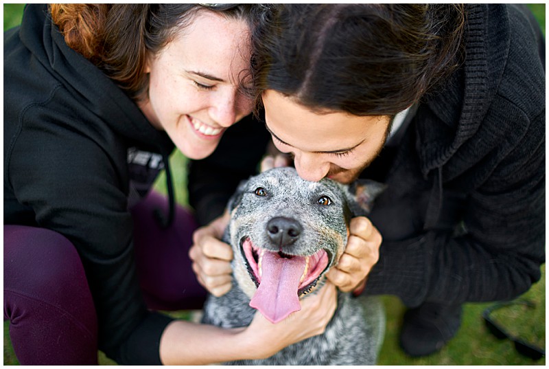 Family photo with dog, overcast light, soft light, happy dog, cuddles, pet photography Perth, professional photographer Perth, kisses with dog, family photo, pet photos blue heeler